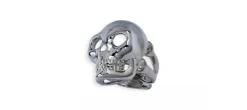 ANILLO CALAVERA