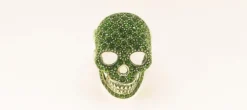 ANILLO SKULL VERDE