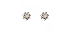 PENDIENTES SUNFIELD ESTRELLA ROSA