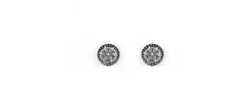 PENDIENTES SUNFIELD FLOR PLATA